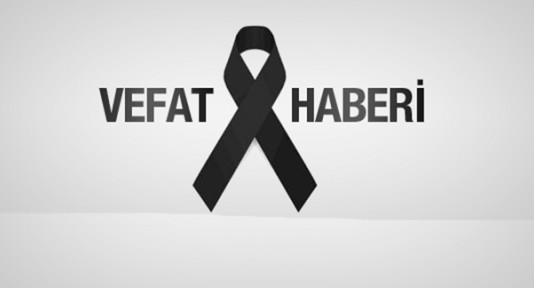 Web Sitesi Demo Haber